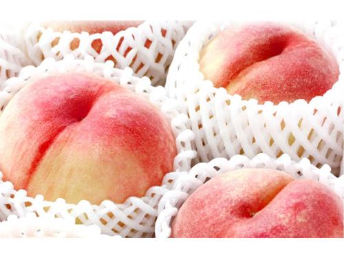 竹城青果は桃の配送をクール便に切り替える